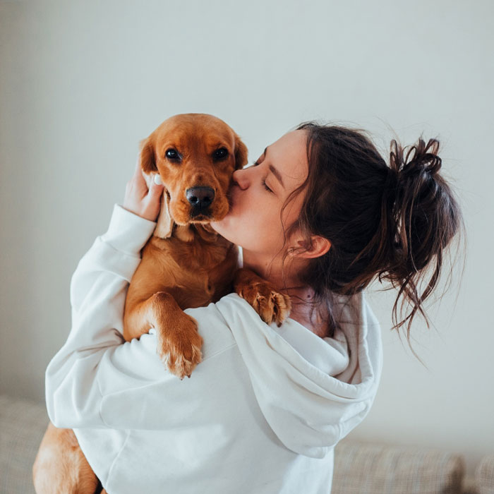 Pet - שאמה לייקוויוו אסוק בנגקוק (Shama Lakeview Asoke Bangkok)